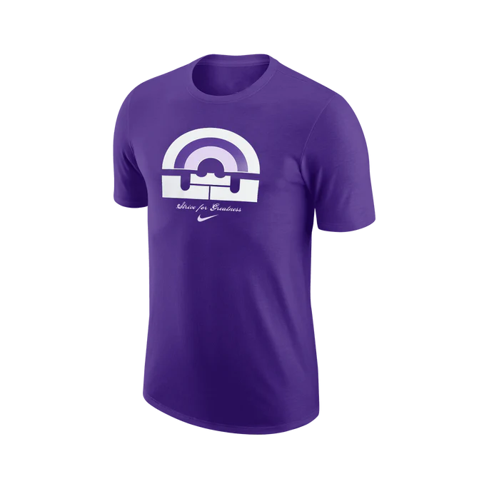 CAMISETA LEBRON