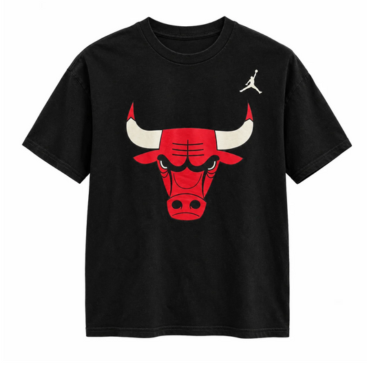 CAMISETA JORDAN JUNIOR CHICAGO BULLS