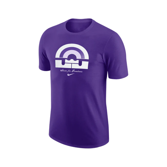 CAMISETA LEBRON